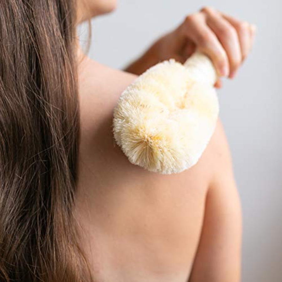 GranNaturals Bath and Shower D - đánh giá và giá Dry Brush Body