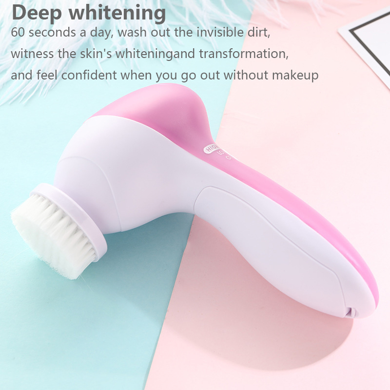 5 IN 1 Face Cleansing Brush Wa - đánh giá và giá Dry Brush Body